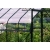 VITAVIA szklarnia ogrodowa ORION 5000, zielona (1,93 m x 2,57 m) + baza
