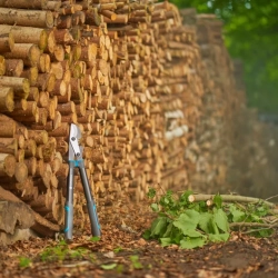 GARDENA Nożyce do gałęzi EnergyCut Pro S, cięcie dwuostrzowe, nożyce do cięcia zielonego drewna, 12050-20